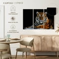 thumbnail image 5 of Elephant Stock Tiger Snapshot Wall Art - Horizontal Multi Panel Canvas - Living Room Wall Decor - Animal Multi Panel - Black And Brown Decor - 45" x 28", 5 of 8