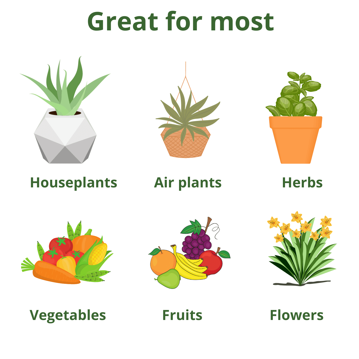 20-20-20 Plant Fertilizer - All Purpose Water Soluble Plant Food with Kelp & Micronutrients (3 Pounds) - Liquid Fertilizer Suitable for Turf, Indoor & Outdoor Plants