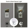thumbnail image 3 of Rocae Floral Rhino With Birds for 0.5W Plug in Night Light, Dusk to Dawn, Bright Nightlight Auto-On/Off-US, 3 of 7