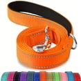 thumbnail image 1 of CNKOO [Laisse pour Chien Réfléchissante Robuste] Laisse pour Chien Réfléchissante avec Poignée Rembourrée Polyamide Robuste Lavable en Machine Fermoir Renforcé - Compatible avec Assorti C, 1 of 6