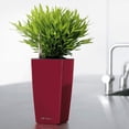 thumbnail image 2 of MAXI-CUBI Charcoal Metallic, Self-watering Small Indoor Planter, H10.2 L5.5 W5.5 in, 2 of 4