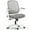 Gray, variant on CELTOSS Ergonomic Office Chair, Flip-Up Arms, Adjustable Lumbar Support, Black