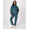 thumbnail image 6 of Hanes Ultimate Men's Heavyweight Fleece Hoodie Cactus 3XL, 6 of 6