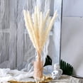 thumbnail image 5 of 5 piezas de hierba de pampa blanca, 50-60 cm, ramas de hierba de pampa secas naturales, decoración para el hogar, cocina, jardín, fiesta, fotografía de flores, 5 of 5