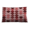 thumbnail image 1 of Ahgly Company Indoor Rectangular Contemporary Lumbar Throw Pillow, 13 inch by 19 inch, 1 of 5
