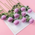 thumbnail image 3 of Princess Silk Rose Flowers Long Stem Artificial Melaleuca Rose Flower for Home Wedding Decor, Pack of 10 (Blush), 3 of 5