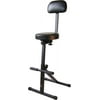 Audio2000s AST4201 Foam Padded Seat with Adjustable Height