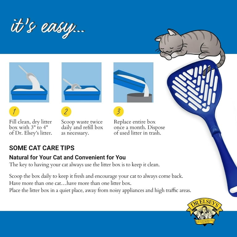 bat dog training leash walking Teaching Your Dog to Walk Politely On Leash