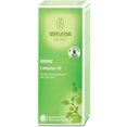 thumbnail image 1 of Weleda - Birch Cellulite Oil (3.4 Oz), 1 of 1