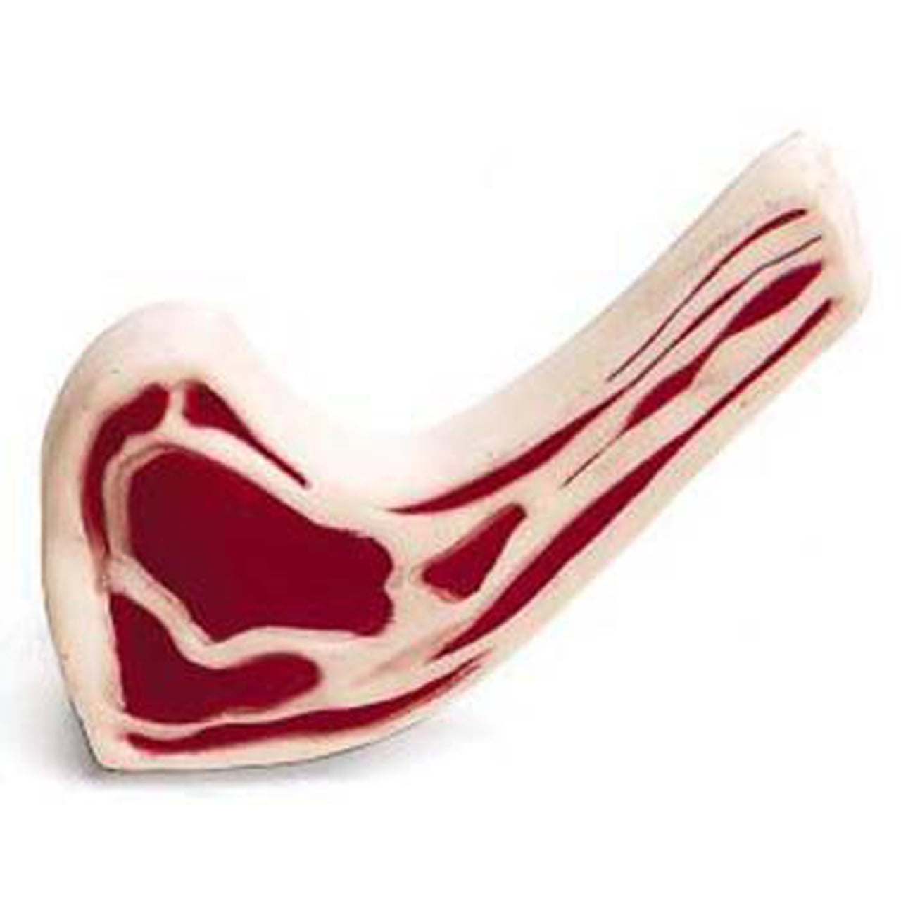 Are Pork Chop Bones Safe For Dogs are-pork-chop-bones-safe-for-dogs