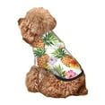 thumbnail image 5 of Haiem Hawaiian Pineappl for Winter Dog Hoodie Sweatshirts with Pockets Warm Dog Clothes for Small Dogs Chihuahua-Small, 5 of 7