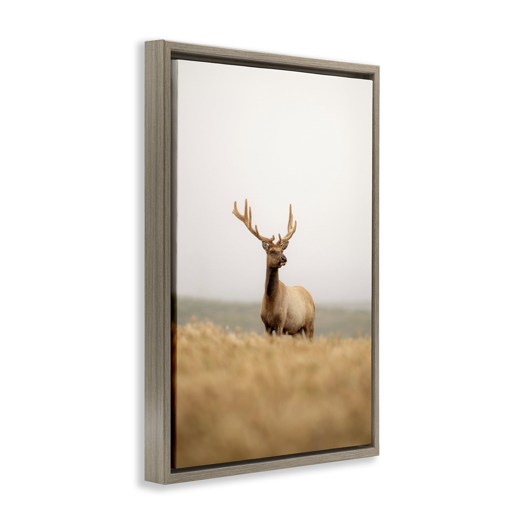 Stupell Industries Stoic Tule Elk Landscape & Nature Photography Brown Floater Framed Canvas Art Print Wall Art, 17 x 25