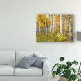 thumbnail image 3 of Trademark Fine Art 'Yellow Woods IV' Canvas Art by David Drost, 3 of 4
