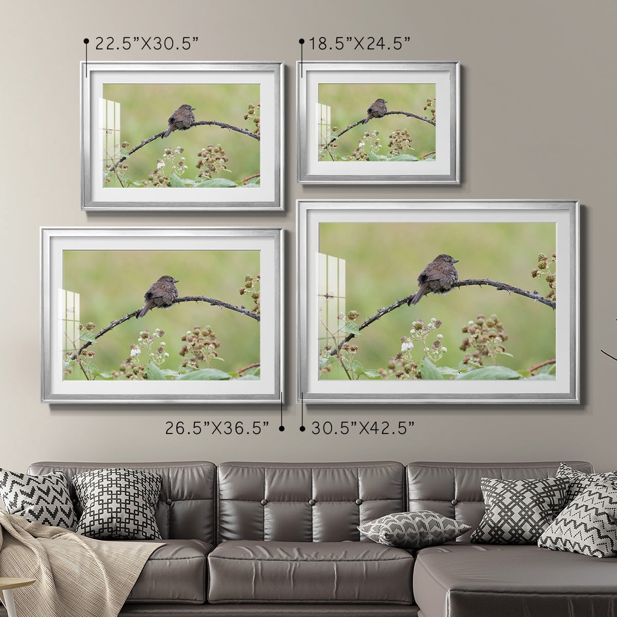 Resting Sparrow Premium Framed Print - Ready to Hang