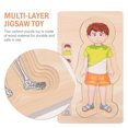 thumbnail image 3 of Weiweiguan 1Pc Multi-layer Jigsaw Puzzle Toy Body Structure Puzzle Toy Kid Intelligence Toy, 3 of 6