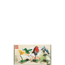 LEGO Ideas Birds 580 Piece Building Set 21301