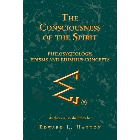 The Consciousness of the Spirit (Paperback)