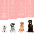 thumbnail image 2 of GASTROPOD 2026 New Thunder Jacket for Dogs Anxiety Relief, Dog Anxiety Vest Calming Care for Separation, Thunderstorm, Travel, Fireworks, Vet Visits, 2 of 7