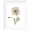 thumbnail image 2 of Art.com Iceland Poppy Portrait 1 Premium Giclee Print by Albert Koetsier, White Frame Wall Art, 32" x 40", 2 of 5