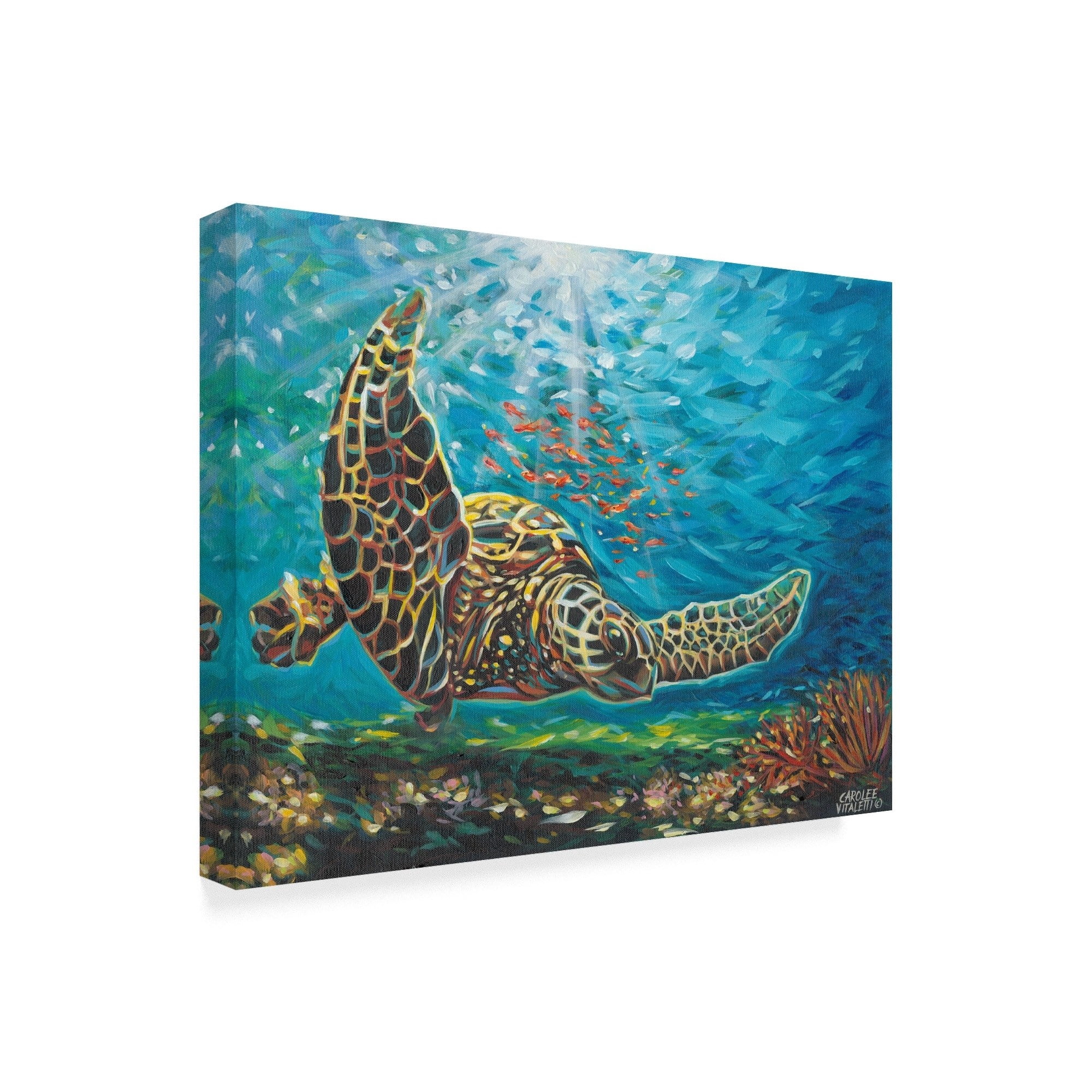 Trademark Fine Art 'Deep Sea Swimming I' Canvas Art by Carolee Vitaletti