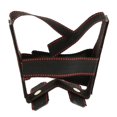 thumbnail image 1 of Corrector de Oreja de Perro Sunnimix Negro Para Doberman Pinscher, 1 of 8