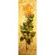 thumbnail image 1 of Wdftyju Pintura de diamantes 5D DIY Rose Taladro redondo completo Imagen de diamantes de imitación (A3806) Wdftyju 6uw0aq9rg1rc5dq7D02, 1 of 9