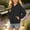 c01Black, variant on Hduncf Boys Zip up Hoodie Soft Solid Classic Full Zip Pullover Hooded Sweatshirts With Pocket Warm Jacket for Kids (3-14 Years) Blue 110