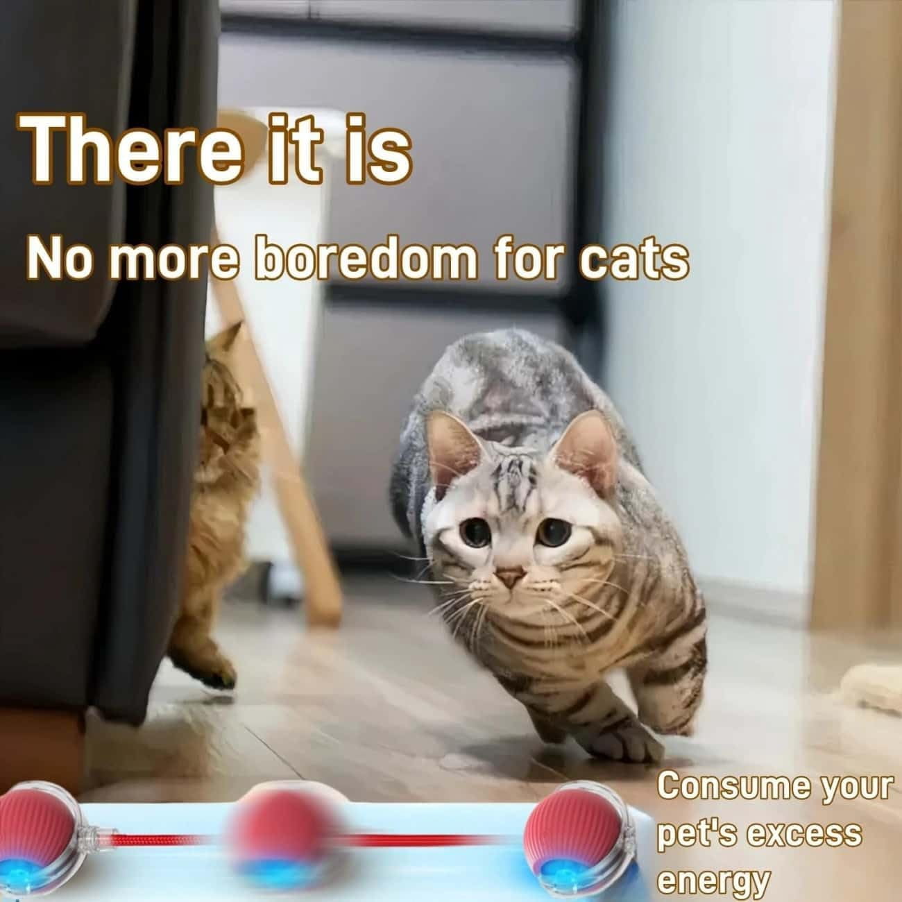 Interactive Cat Toys for Indoor Cats, Agility Move Cat Balls,Motion Activated Cat Balls, Cat Toys for Bored Indoor Cats
