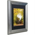 thumbnail image 2 of Trademark Fine Art 'Steam Train with Autumn Foliage' Canvas Art by PIPA Fine Art, Black Matte, Silver Frame, 2 of 4