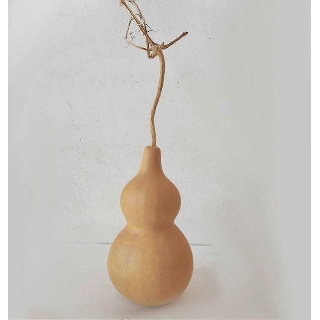 2pcs Natural Gourd Ornament Decorative Gourd Desktop Decoration Natural Dry Gourd For Diy Crafts
