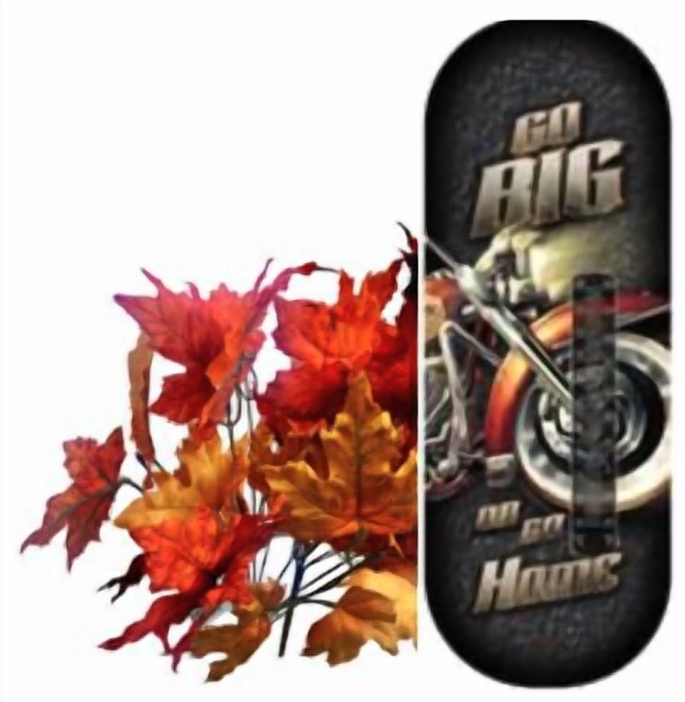 Thermometer Hanging Metal ~22 Gauge Metal Lithograph Print Measures 5" x 17" Indoors or Outdoors {Go Big or Go Home}