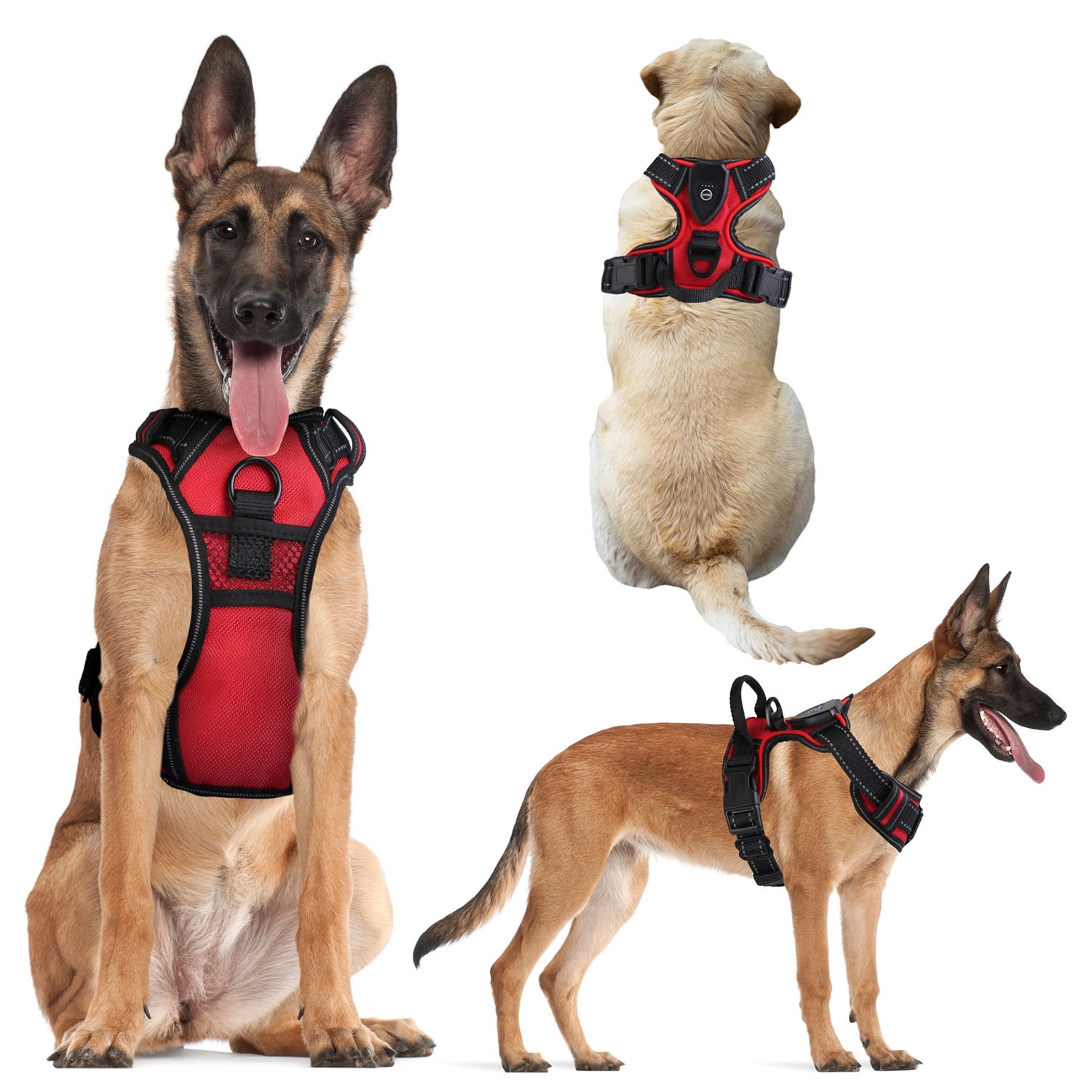 iMounTEK LED Dog Harness No Pull Rechargeable Light Up Pet Vest Harness, Green, M