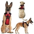 thumbnail image 3 of iMounTEK LED Dog Harness No Pull Rechargeable Light Up Pet Vest Harness, Red, M, 3 of 9