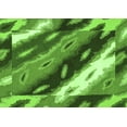 thumbnail image 1 of Ahgly Company Indoor Rectangle Animal Green Modern Area Rugs, 3' x 5', 1 of 4