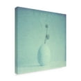 thumbnail image 2 of Trademark Fine Art 'Color Shade III' Canvas Art by Jason Johnson, 2 of 4