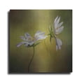 thumbnail image 1 of Luxe Metal Art 'Echo' by Mandy Disher, Metal Wall Art, 36"x36", 1 of 7