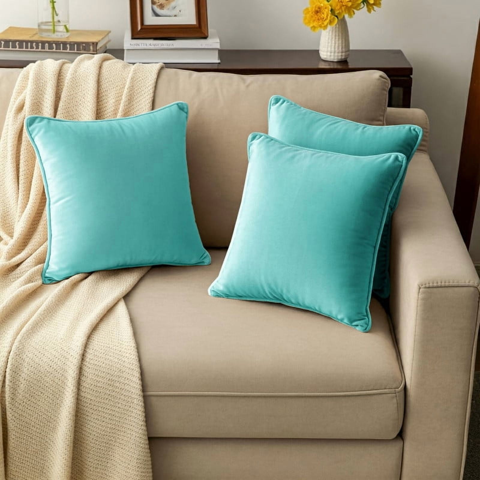 A1HC Set of 2 Luxurious Soft Velvet Throw Pillow Covers Only, 24"x24", Aqua Blue, Decorative Cushion Covers with Hidden YKK Zipper for Sofa or Bed