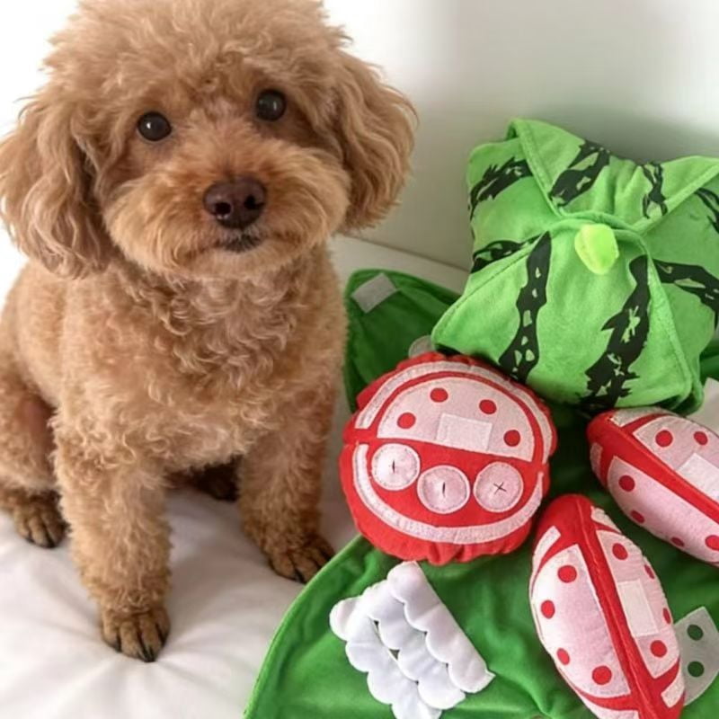 Interactive Plush Dog Toys Hide and Seek Dog Toy, 5-in-1 Orange Watermelon Hide Plush Toys, Dogs Enrichment Toy, Interactive Puzzle Foraging Mat, Feeding Game Pet Small Medium Dogs