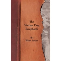 The Vintage Dog Scrapbook - The Welsh Terrier (Paperback)