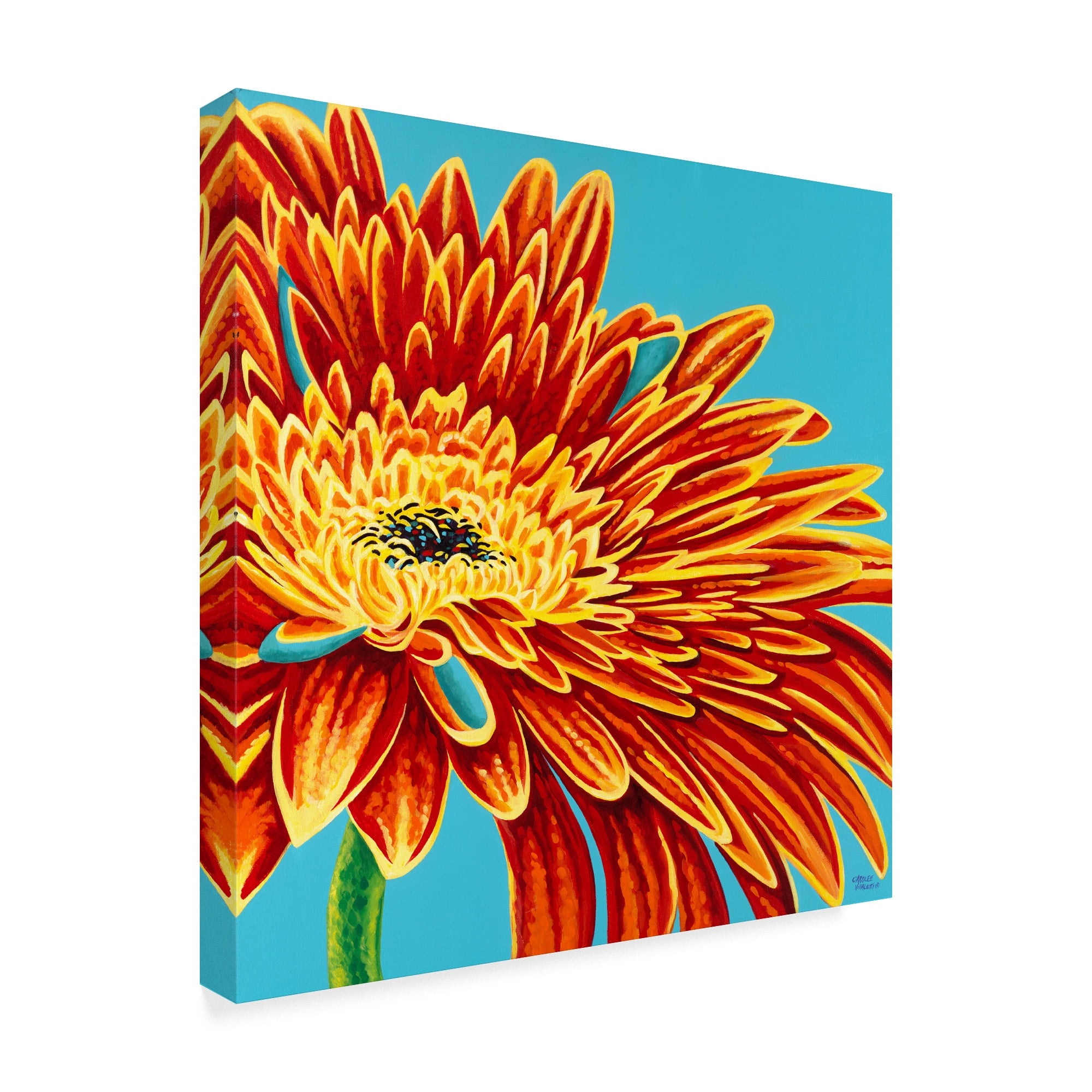 Trademark Fine Art 'Color Bursts I' Canvas Art by Carolee Vitaletti