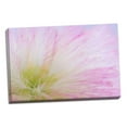 thumbnail image 2 of Gango Home Decor Mimosa Tree Blossom II by Kathy Mahan (Ready to Hang); One 36x24in Hand-Stretched Canvas, 2 of 4