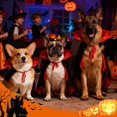 thumbnail image 5 of Dog Halloween Costumes Vampire Cloak, Wizard Outfit, Witch Cosplay Apparel Cape - Funny Party Dress Up Halloween Pet Costumes for Medium Dogs, 5 of 5
