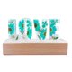 thumbnail image 2 of Lámpara de Flores Secas LED Luz de Noche para Decoración Día de San Valentín - Verde Sunnimix Luz de noche de amor, 2 of 8