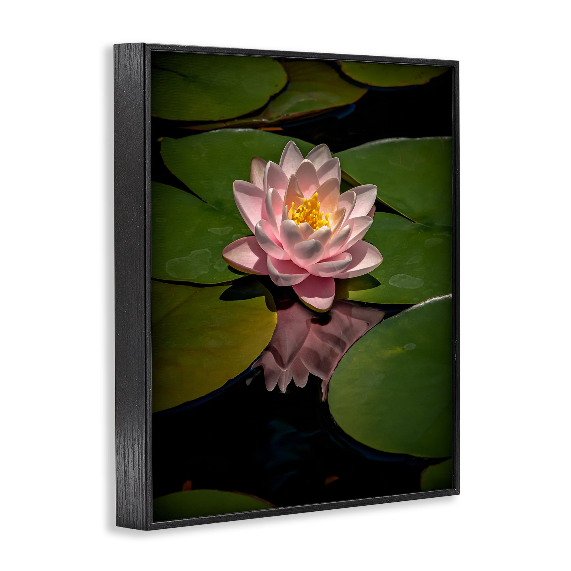 Pink Lotus Among Lily Pads Black Framed Giclee Art, design by Phillip Flowers