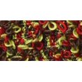 thumbnail image 1 of Fleurettes Yarn-Chili Pepper, 1 of 1