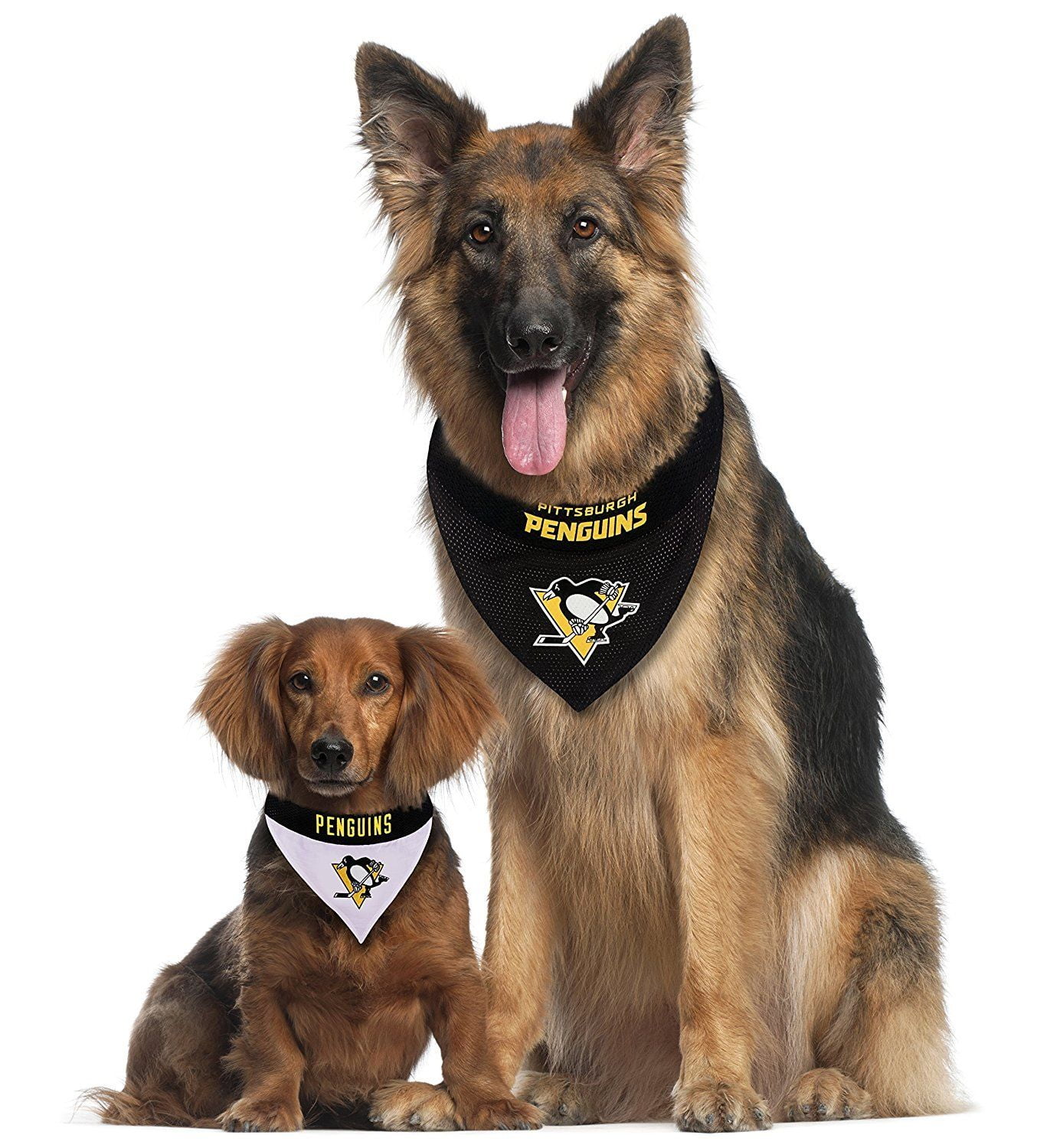 pittsburgh penguins dog bandana