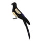 thumbnail image 1 of Pájaro de simulación de urraca, artesanías de pájaros artificiales, figuras de pájaros realistas para arte de jardín 30 centimetros, 1 of 9