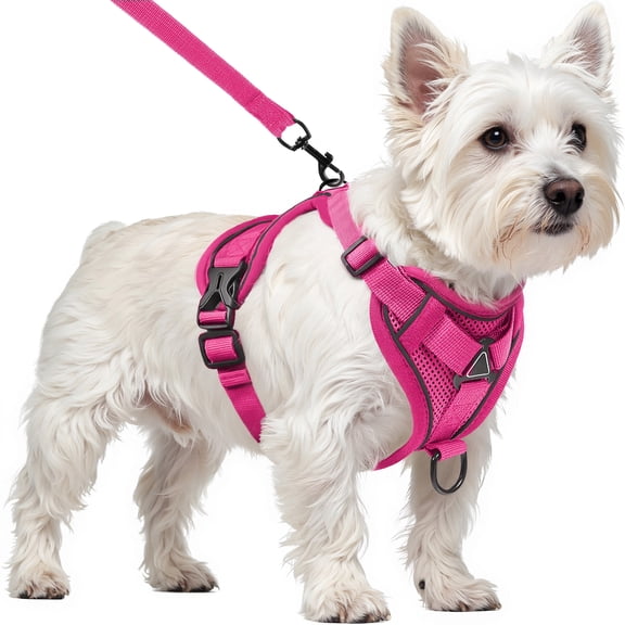 PayUSD Dog Harness with Leash Cat Harness No Pull Adjustable No Choke Pet Vest for Small Dogs Cats