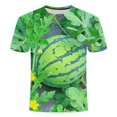 thumbnail image 1 of Chemise d'Été Imprimée 3d Melon D\'eau Hip Hop pour Hommes, Personnalité, Manches Courtes, Alternative à la Mode, Col Drôle, Grande Taille, Belle Chemise Deng, 1 of 7