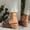 Brown, variant on Breathable Wedge Platform Mules for Women, Lightweight Slip-On Sandals with Cushioned Footbed for Beach and Casual Wear
